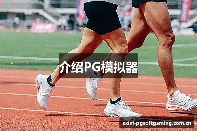 介绍PG模拟器